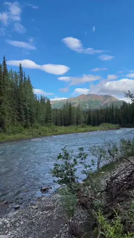 Triple lakes trail in Denali national park :)  #naturephotography #videography 