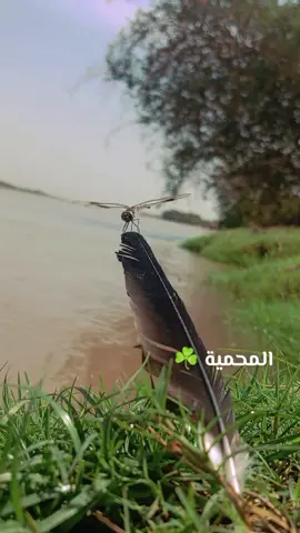 #الحمد_لله_دائماً_وابداً #نهرالنيل_الدامر_عطبره_شندي_بربر 