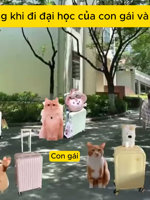 Hành trang khi đi đại học của con gái và con trai