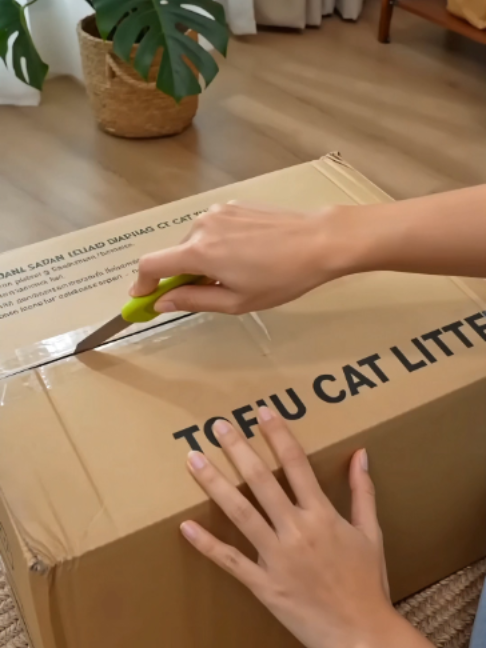 🐱KIKI & NINI Tofu Litter 6L | Tofu Cat Litter Murah #tiktokshop #fyp #Merdeka2026 #HariKemerdekaan69 #HariMalaysia #KitaMalaysia #BanggaJadiAnakMalaysia #JalurGemilang #PromoMerdeka #imatMerdeka