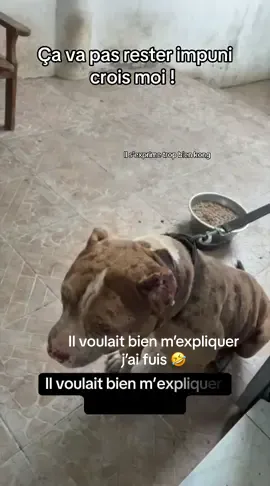 Ce qui s’est passer tellement ça lui fait mal il n’arrive pas à expliquer. Mais je vais pas en rester là !🤣🤣🤭 #foryouu #pourtoi #cotedivoire🇨🇮 #viral?tiktok🥰 #fypシ゚ @la gendarmerie nationale ♻️♻️ @herve_stephane @gbairai atchan 2.0⚔️ @Loïs Beka🔥 