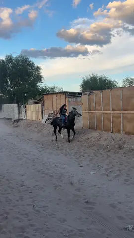 Esa si es jinete 😎😈👻 #caballos #carrerasdecaballos #viral #parati #jinete 