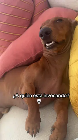 Ayuda ✝️