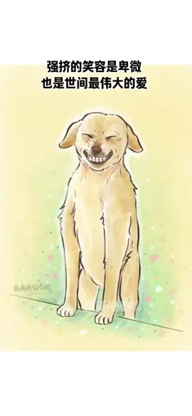 狗狗：笑得好看一點，孩子們就有吃的了🥹 流浪狗不知道怎麼笑，聽說人類喜歡小狗狗笑 於是努力擠出了它的“笑容” #狗哥筆記 #狗狗 #萬萬沒想到 #dog #funnyvideos 
