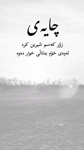 چایەی زۆر کەسم شیرین کرد ئەوەی خۆم بەتاڵی خوار دەوە ☕ #fouryou #pourtoi #kurdistan #Love #fy 