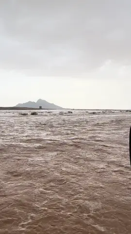 #الامطار #الشتاء #اكسبلور #حايل_القصيم_المدينه 