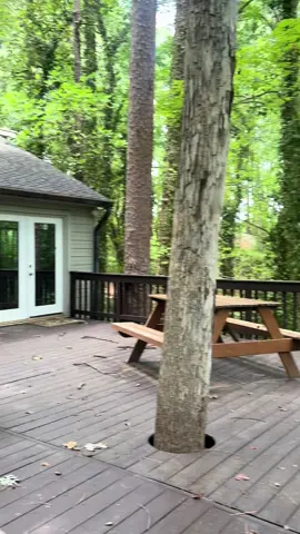 $430k in Raleigh NC!! Like & comment for more info to be sent to your DM’s! Feel free to text or call anytime for a private showing! This incredible home in Raleigh is truly breathtaking and will make you think you’re living in the mountains! Who could believe it’s minutes from large shopping centers and the heart of Raleigh! Alex Gartner 252-548-1246 Keller Williams Raleigh Listinr courtesy of Jeff Carrol #raleighrealestate #raleighnc #ncrealestate #raleighhomes #nchomes 