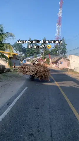 Bucket bunga🫸🏻 Bucket milu ✅ #fyp #gorontalo 