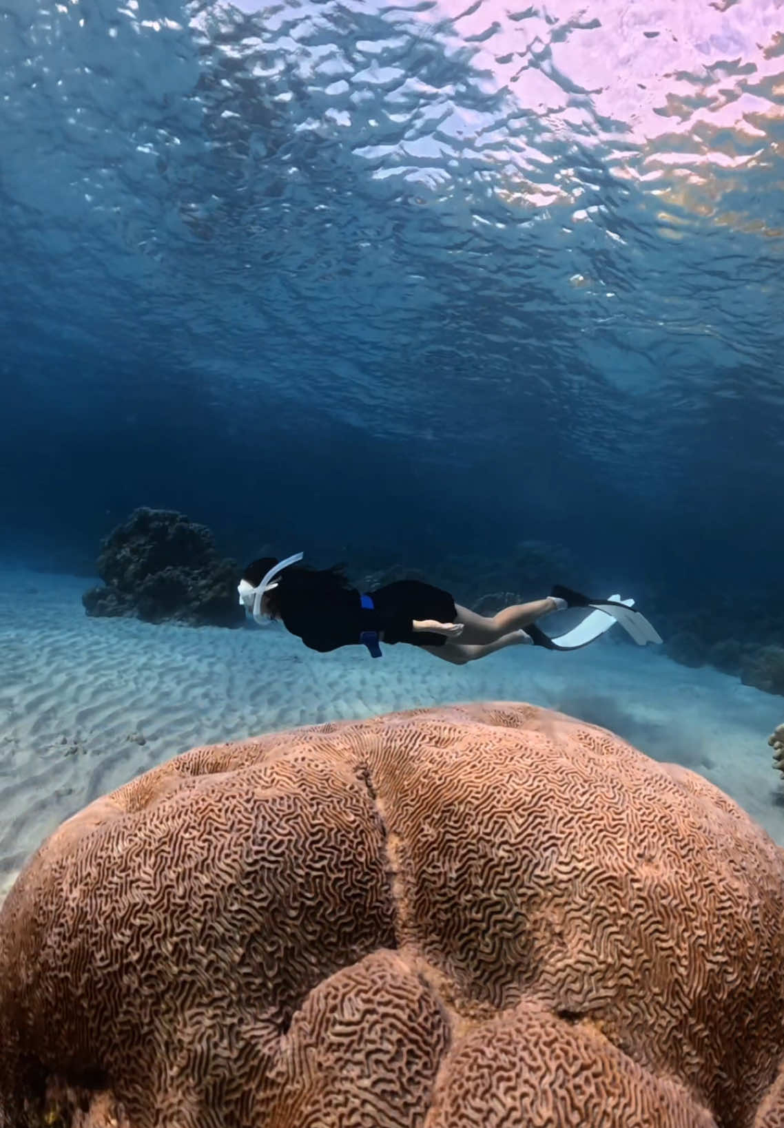 i wish that u could be like this😜  #freedive #freedivegirl #neverdivealone #ternateislanddive 
