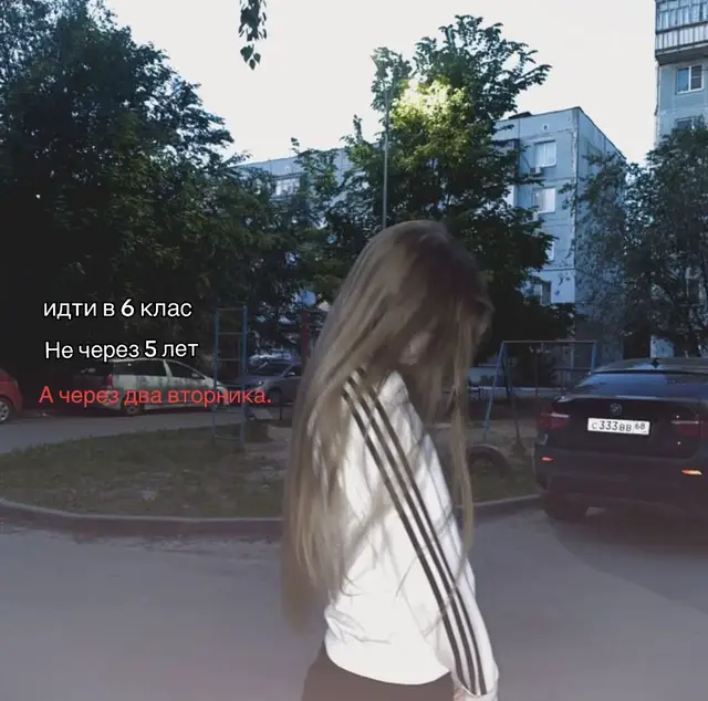 Школа — это главное учебное заведение для получения общего базового образования, воспитания детей и молодежи, а также здание этого учреждения или коллектив его учеников и учителей. Происходит от греческого слова schole, что означает «досуг» или «занятие на досуге».