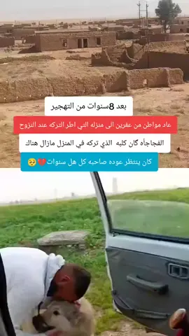 بعد فراق 8 سنوات وما ناسي صاحبه 💔💔#الكلب #الكلب_الوفي 