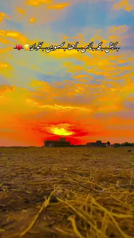 ‏ايش قد ناس احنا مسوين خوانة🥹💔#تصويري_احترافي_الاجواء👌🏻🕊😴 #حزينة_جدا🥱💔 #تصويري📸اكسبلوور #مشاهدات_تيك_توك #creatorsearchinsights 