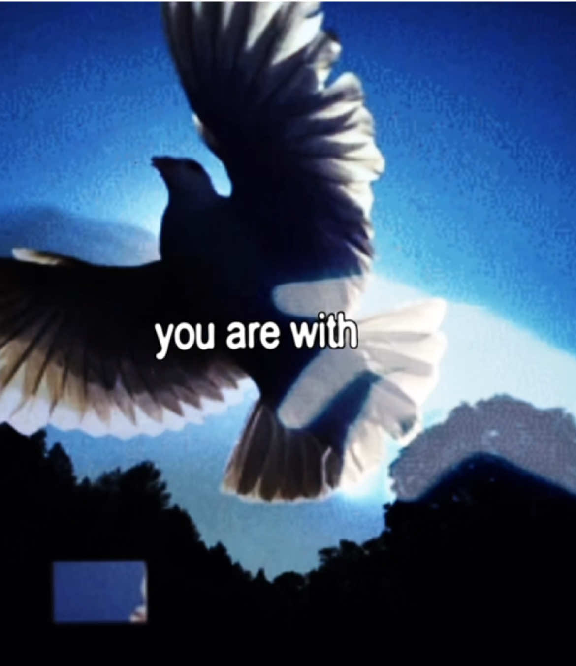 𝖫𝖾𝗍 𝖣𝗈𝗐𝗇 #lyrics #targetaudience #song #aesthetic #radiohead 