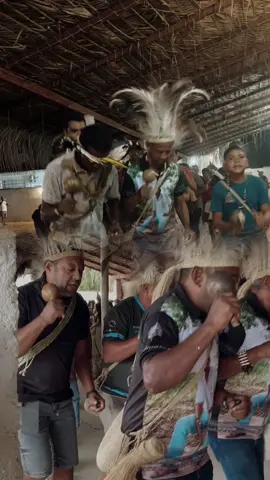 Encontro de saberes, ancestralidade e cura.Pajés, parteiras e detentores das medicinas tradicionais Indígenas de Pernambuco, mantendo viva a força e a sabedoria dos nossos povos. 🤍🏹 #povosindigenas  #povopipipadekambixuru  #viral  #encontrodepaje 