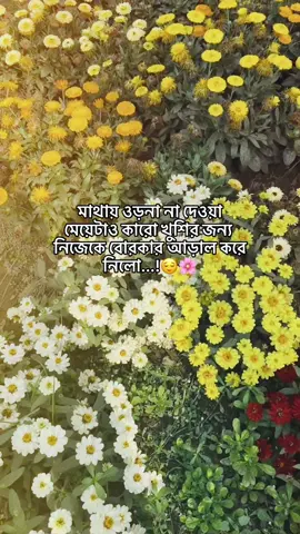 মাথায় ওড়না না দেওয়া মেয়েটাও কারো খুশির জন্য নিজেকে বোরকার আড়াল করে নিলো...!😌🌸 #fypシ #foryou #viral #unfrezzmyaccount #fppppppppppppppppppp 
