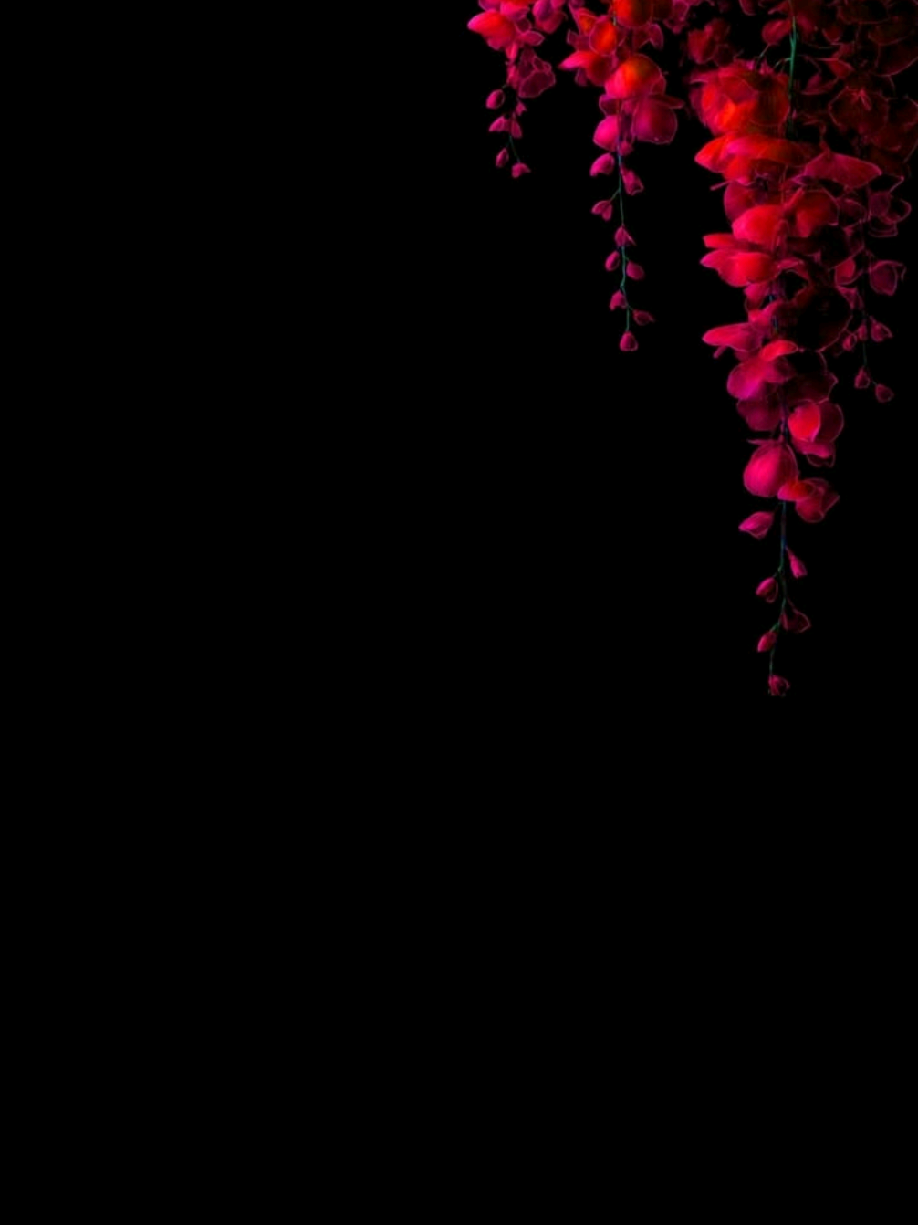 aqli miyad lhyn 😭😂|| #dunimushah🍃🍂🥵  #jawi_bila🌊❤️🌴duni_mushah🌺😕arpods #fypシ゚vairal_video🖤tiktok☆♡🦋myvid #dunimushah 