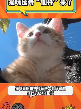 三十年之后，希望我的小猫依旧守在家门口等我#猫咪 #萌宠 #宠物 #疫苗 