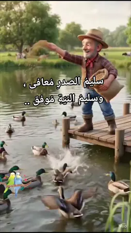 #صباحكم_أحلى_صباح #الانسانية_على_قيد_الحياة #الأمل_بالله✨💙 #القلوب_الطيبه #fpyシviral 