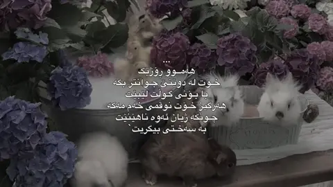 #fyp #foryou 