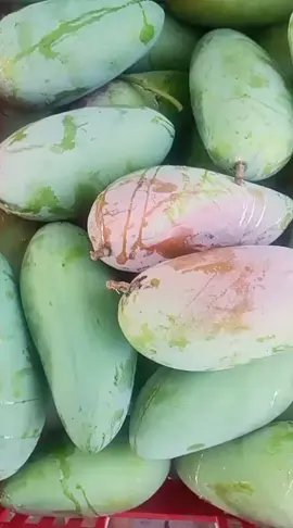 MULAI READY KIOJAY #pasarinduktanahtinggitangerang  #Pasarbuah #MANGGAVIRAL2026  #rujakbuah  #manggakiojay🥭 