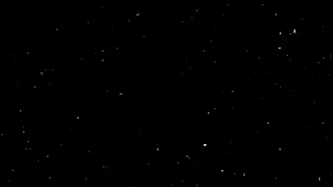 يسامحونك بسرعة🌹😭# شعب الصبني ماله حا😂