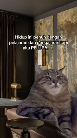 #fyp #meme #memecut 