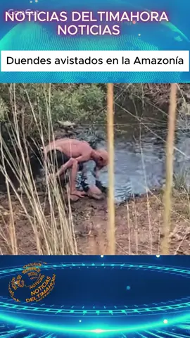 Extrañas figuras aparecen en el agua y hacen que todos se pregunten qué eran realmente #Misterios #HistoriasVirales #Duendes #FenómenosExtraños #VideosImpactantes  
