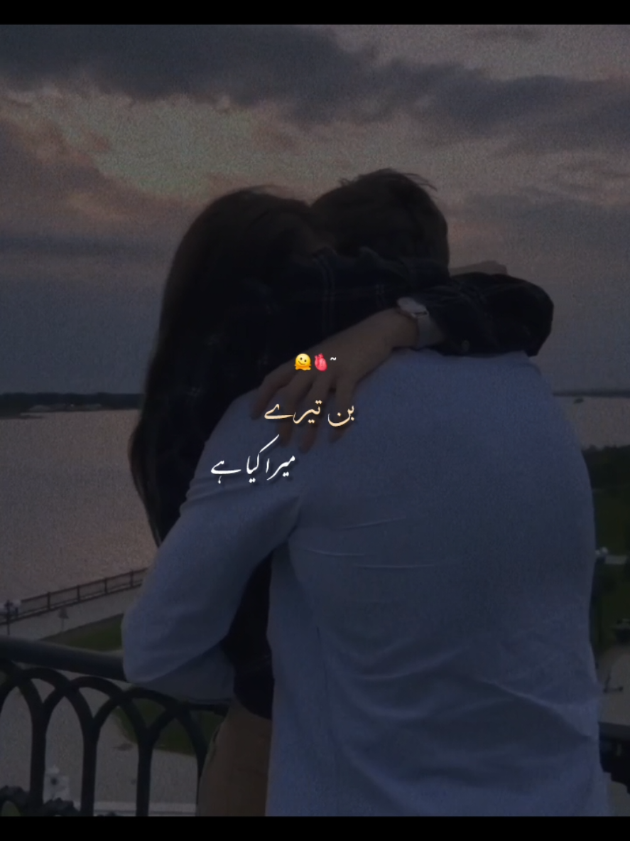 Bin Tere Mujhe main Kya Hai 🥹🫠❤️‍🩹 #foryoupage #aestheticvideos #couplegoals #lovesong #statusvideo 