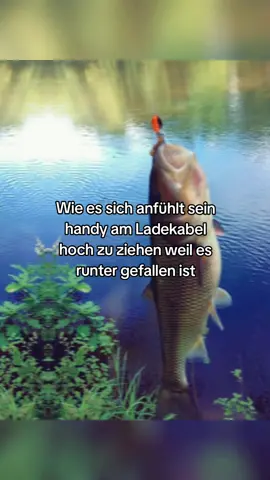 #handy #angeln #ladekabel #fyp #viral 