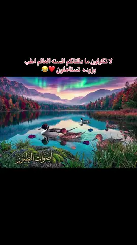 #الشعب_الصيني_ماله_حل😂😂 #تفاعلكم_لايك_متابعه_اكسبلوررررراexplore #هل_من_مبارز #مجاني #صوت_حر 