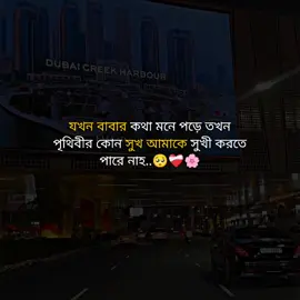 যখন বাবার কথা মনে পড়ে তখন পৃথিবীর কোন সুখ আমাকে সুখী করতে পারে নাহ.🥺❤️‍🩹🌸 #fyp #foryou #foryoupage #ইনশাআল্লাহ_যাবে_foryou_তে। 