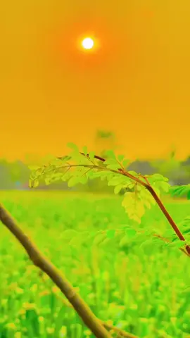 সেরা প্রাকৃতিক সৌন্দর্য ভিডিও ২০২৬#প্রাকৃতিক_সুন্দর্য #trndingvideo #viralvideo #foryou 