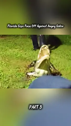 #cops #policeofficer #copsusa #bodycam