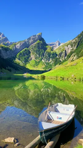 Isn't Switzerland beautiful in summer?#switzerland #swissbeautiful #tiktoktravel #travel #swiss 