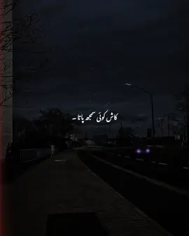 کاش کوئی سمجھ پاتا۔#fyp #viral #trending #aestheticedits #poetrystatus 