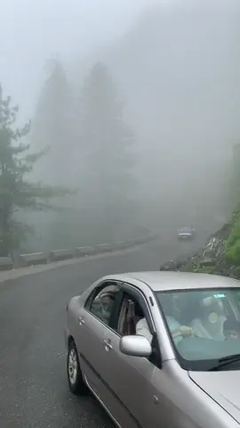 #Shangla🤍#fypシ゚viral #shanglavalley #shanglabeauty @TikTok Pakistan @🌼TikTok 🐱 Pesho🌼 @❣️.𝐁𝐀𝐁𝐀 𝐊𝐢 𝐉𝐀𝐍.❣️ @✨Waleed Khan✨ 