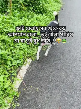 😭🐸#foryou #trending #foryoupage @TikTok Bangladesh @TikTok 