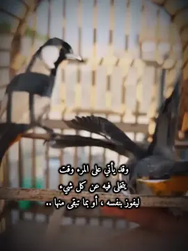#CapCut #اعلى_مشاهدة_في_تيك_توك #خواطر_من_القلب #اكسبلورexplore #الشعب_الصيني_ماله_حل 