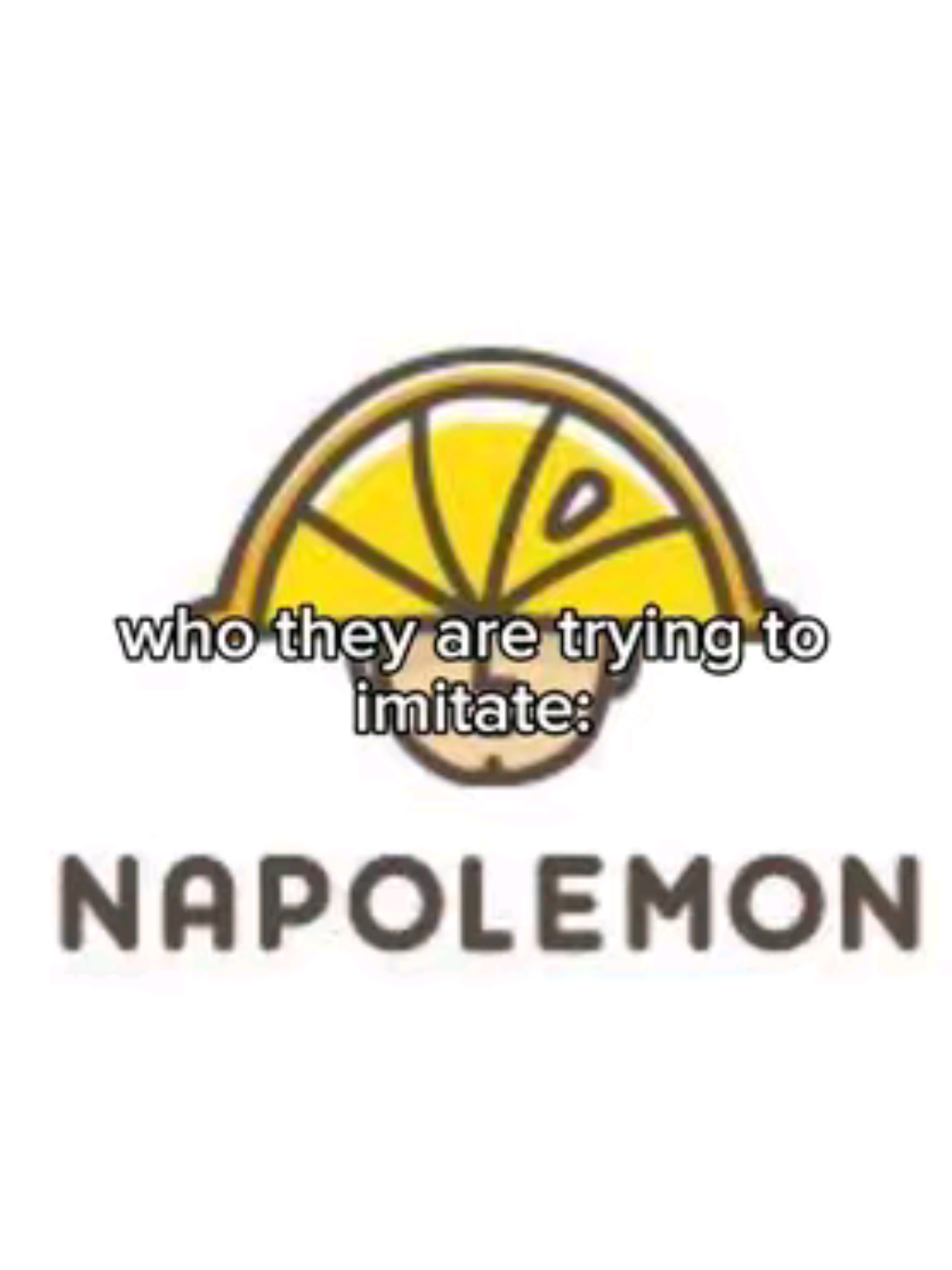 #napoleon #napoleonicwars #History #historytok #viraltok 