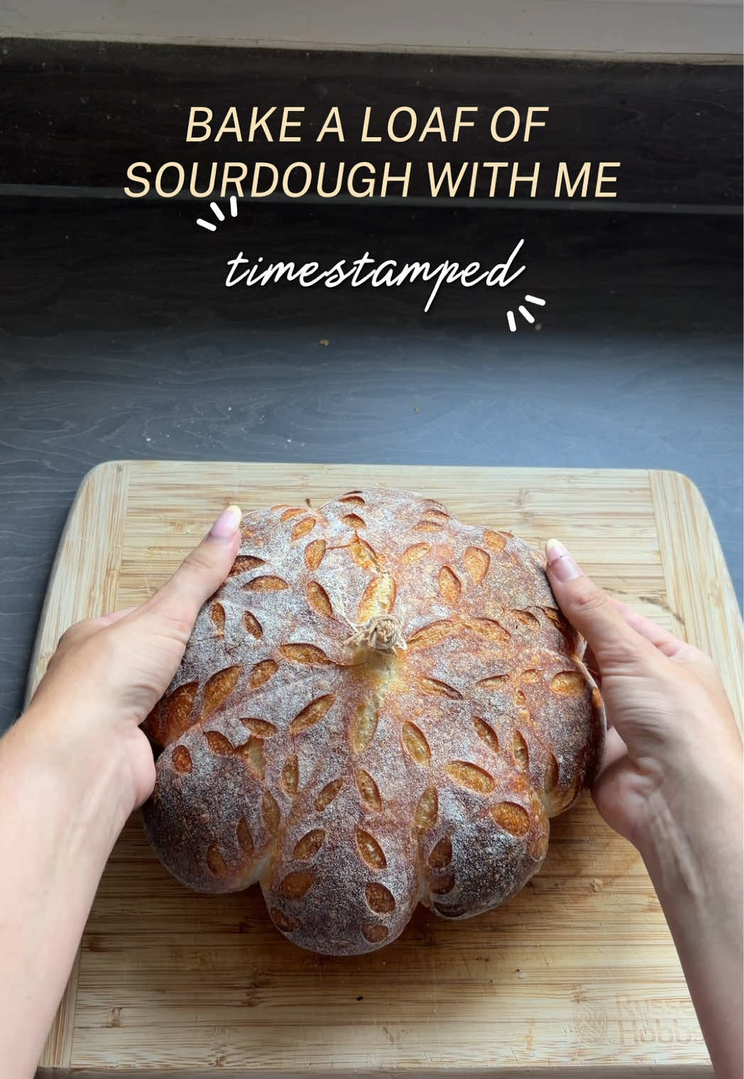 My beginner friendly same day sourdough recipe with timestamps🍞✨ Pumpkin edition🤭🎃 is it too soon?👀 65% hydration recipe: 140g starter 310g water 500g very strong bread flour 10g salt Make sure your come back for the crumb reveal👀🤭 Typo - the preshape should say 12:40pm*  Save this for your next bake and follow for more sourdough recipes & tips🤍 #sourdough #sourdoughtok #sourdoughbread #breadtok #homebaking 