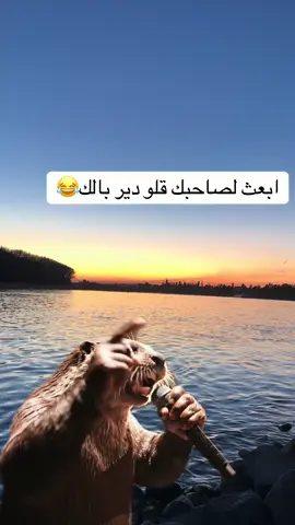 #تابعوني_رح_نزل_شي_جديد🍂 #مصطفى_الحجي_في_النمسا🇦🇹 #كامب_دورن #لم_شمل😜 #الشعب_الصيني_ماله_حل😂😂🏃🏻‍♀️ 
