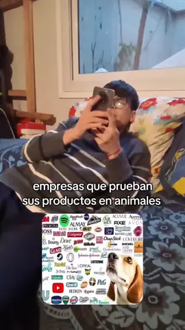 PERRO TRYHARD... #gamer #humor #fyp 