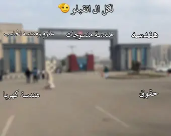 الكيب ورد #nmu #الكليات #هندسه #حقوق #newmansourauniversity 
