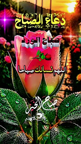 دعاء يوم الثلاثاء 18/08/2026 #دعاء_يوم_الثلاثاء #دعاء_يريح_القلوب  #اللهم_صلي_على_نبينا_محمد  #اللهم_امين_يارب_العالمين  #اكسبلور 