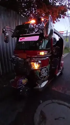 MOTOTAXI TUNNING 🔰  olga marina's 🇬🇧  🕹