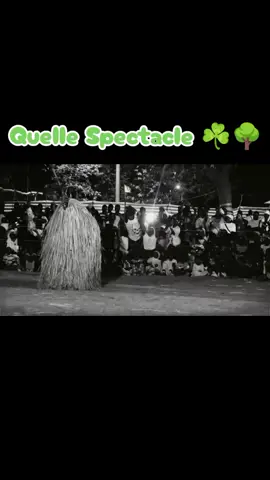 Une présentation incroyable de la part du Koumpo. Une danse spectaculaire...💪💪#viralvideos #casamance🌿🍀 #tiktokfrance🇨🇵 @SNAP DIÉGOUNE 🇬🇲🇸🇳 @DIEGOUNE INFOS TV @DIEGOUNE 1+1=1 