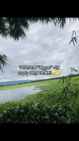 নে তর HMM এর রিপ্লাই.!🙂#foryoupage #fypシ #🐸 #urfv_asim3 #funnycaption 