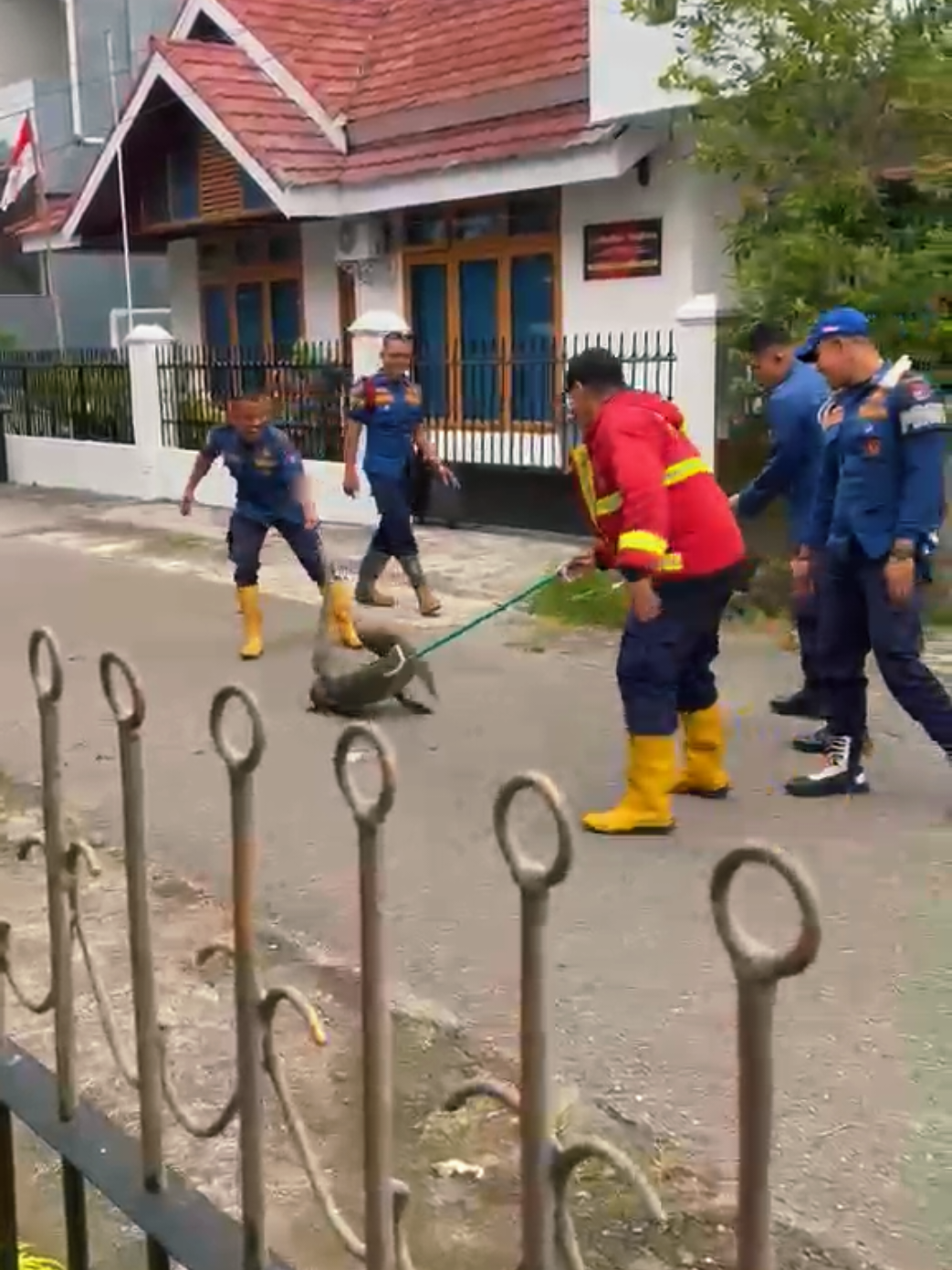 biawak nya cuma 1 tapi yg turun langsung segerombolan 🤣 hentikan guru 😭😭😭 #pemadamkebakaran #pemadam #padang  #lucu #lucu_ngakak 