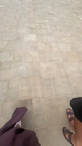 مغسيل