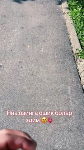 Ошик болар эдим 